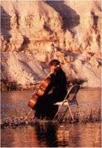 Photograph of cellist on rocks